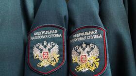 Что делать при утере ИНН в Black Star Wear