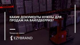 Что нужно, чтобы стать продавцом на Wildberries в Black Star Wear