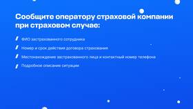 Что нужно для оформления страхового полиса в Black Star Wear