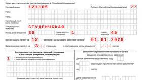 Что выдают при регистрации ИП в Black Star Wear