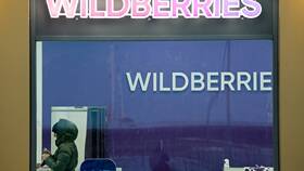 Единоразовая субсидия Wildberries: что это и как получить в Black Star Wear