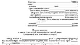 Как наследуется совместно нажитое имущество в Black Star Wear