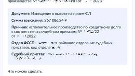 Как подать обращение в ФССП через Госуслуги в Black Star Wear
