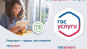 Как получить единовременное пособие через Госуслуги в Black Star Wear