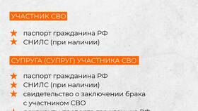 Как получить справку о наличии СВО в Black Star Wear