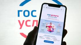 Как получить свидетельство через Госуслуги в Black Star Wear