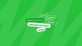 Как понять юридическое лицо в Black Star Wear