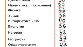Как проверить результаты ОГЭ по паспорту в Black Star Wear