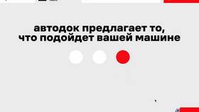 Как работает сервис Автодок в Black Star Wear