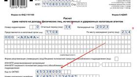 Код по ОКТМО в декларации: назначение и применение в Black Star Wear