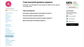На что влияет уровень сервиса Авито в Black Star Wear