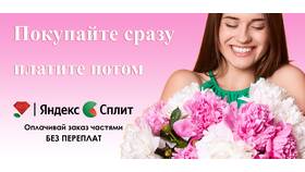 Яндекс Сплит: что это в Black Star Wear