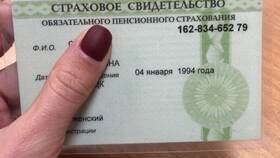 Зачем требуется ксерокопия СНИЛС в Black Star Wear
