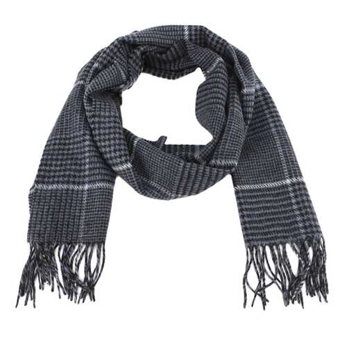 Шарф мужской Paccia TH-21701-9 серый в Black Star Wear