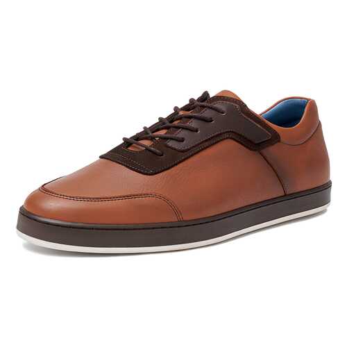 Кеды мужские Pierre Cardin TR-CR-1601 коричневые 43 RU в Black Star Wear
