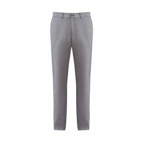 Брюки мужские Finn Flare S20-22013 серые L в Black Star Wear