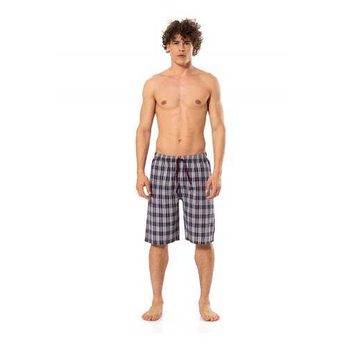 Шорты мужские Cacharel 2181 бордовые XL в Black Star Wear