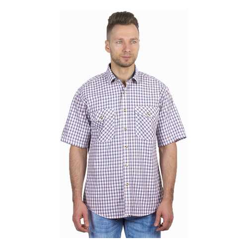 Рубашка мужская Dairos GD81100393 синяя L в Black Star Wear
