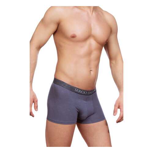 Трусы мужские SERGIO DALLINI SG2305 серые L в Black Star Wear