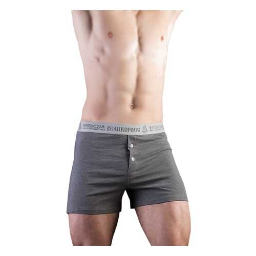 Трусы мужские Великоросс 803.212 серые 56 RU в Black Star Wear