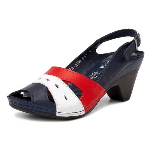 Босоножки женские Alessio Nesca TR-AMR-087 синие 40 RU в Black Star Wear